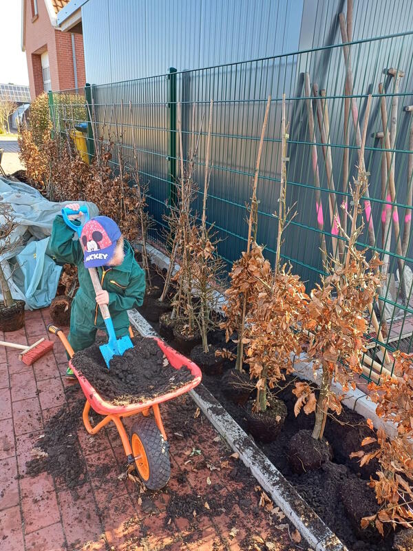 Bild vergr&ouml;&szlig;ern: Foto von der Heckenpflanzaktion mit Kind