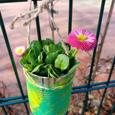 Blumen eintopfen