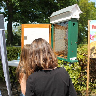 Bild vergr&ouml;&szlig;ern: Foto vom Bienenschaukasten