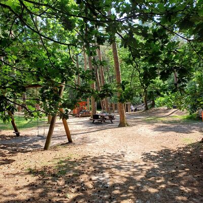 Das Bild zeigt den Eingang zum Spielplatz im Heseler Wald im Juni