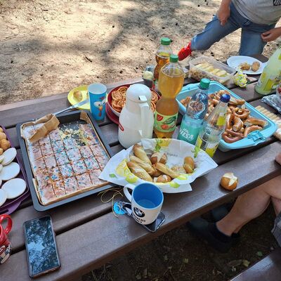 Das Bild zeigt einen gedeckten Tisch mit Kuchenbuffet und Snacks im Wald.