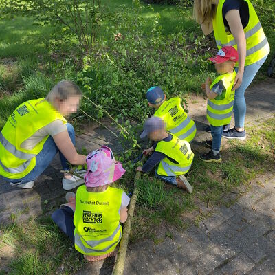Das Bild zeigt eine kleine Gruppe von zwei Erwachsenen und vier Kinder, die Äste von einem abgesägten Birke abschneiden.