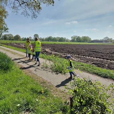 Das Bild zeigt, wie die Birke von Kindern und ihren Eltern über die Straße gezogen wird.