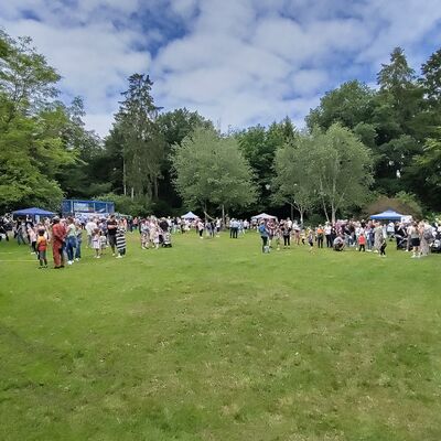 Bild vergr&ouml;&szlig;ern: Das Bild zeigt eine große Menschenansammlung auf dem Platz im Höstpark.