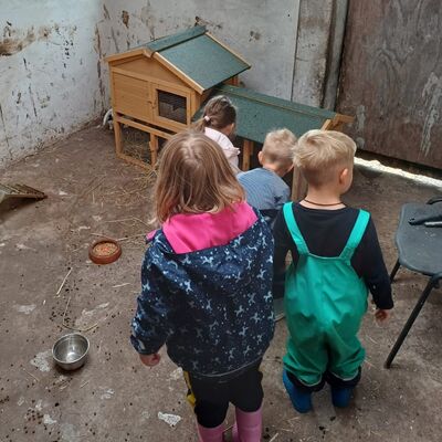 Bild vergr&ouml;&szlig;ern: Das Bild zeigt eine kleine Gruppe von Kindern, die den Kaninchenstall inspizieren.