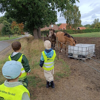 Das Bild zeigt drei Jungen, die zur Pferdekoppel vom Bauernhof Heymann gehen.