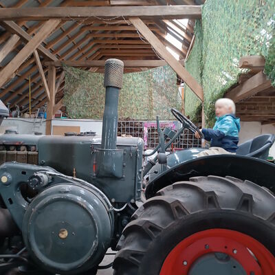 Das Bild zeigt einen Oldtimertrecker und einen Jungen, der freudig darauf sitzt.