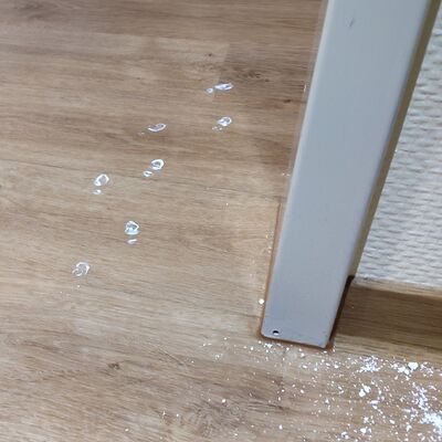 Das Foto zeigt den Eingang zur Kastaniengruppe und ein paar weiße Fußabdrücke in Wichtelgrölße.