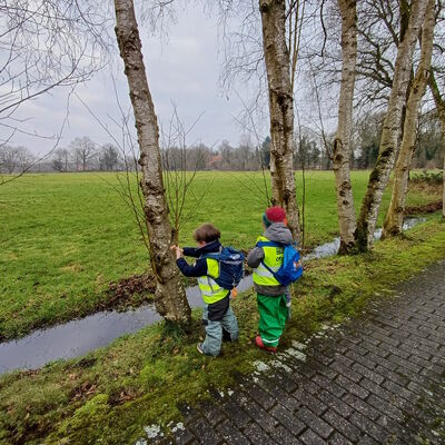 Dem Frühling auf der Spur - Spaziergang