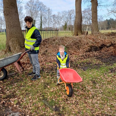 Gartenpflege
