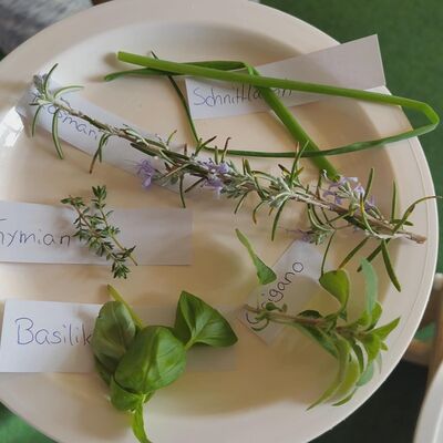 Projektfoto - Gartenwoche