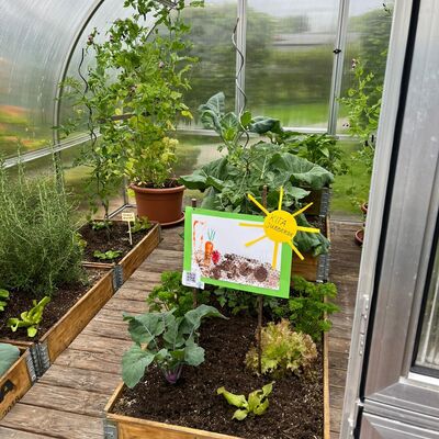 Ausstellung in Gärtnerei Hoklartherm