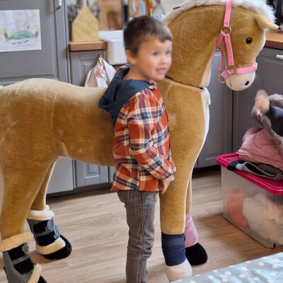 Vorschulaufgaben im Lüttje Pony Plaats