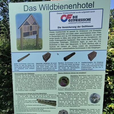Blühwiese