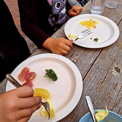 Gestiftete Kartoffeln aus eignem Anbau